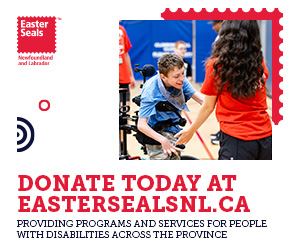 Easter Seals Donate Today Big Box